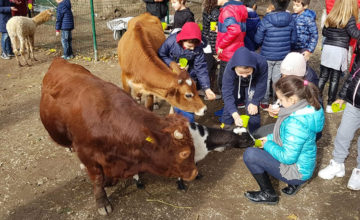 Vieni a trovarci a “Cavalli a Roma” dal 13 al 16 febbraio! Il Giardino di Filly ti aspetta a “Cavalli a Roma”, nel Padiglione 4. Ad accoglierti ci saranno tanti amici a 2 e a 4 zampe, insieme alla presentazione di tutte le attività della nostra fattoria didattica!