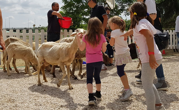 Campi estivi 2020: Filly ti aspetta nel verde di Roma!