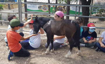 Torna il nostro agri-campus per bambini dai 3 ai 6 anni! Hai ricominciato a lavorare e non sai dove lasciare il tuo bambino? C