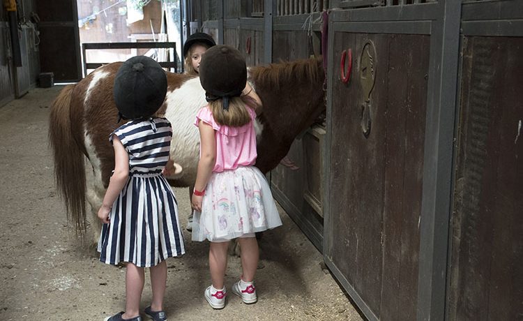 Scopri l’avvicinamento ai pony: una formula per bambini dai 3 ai 5 anni!