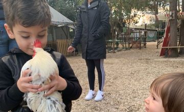 In fattoria troverai ad aspettarti loro e tanti altri animali: prenota subito la tua visita.