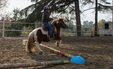 Giornata sociale da Il Giardino di Filly Una giornata dedicata ai bambini del Pony Club da trascorrere insieme. Ti aspettiamo domenica 5 marzo nella nostra fattoria didattica.