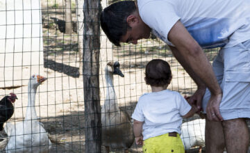 Partecipa alla Festa del Papà Ti aspettiamo domenica 19 marzo 2023 per una giornata da trascorrere insieme all’aria aperta insieme a tutta la famiglia.