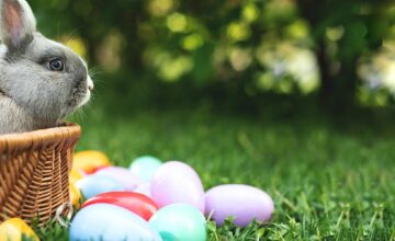 Pasqua, Pasquetta e 1° maggio da Il Giardino di Filly! Tre giornate da trascorrere nella natura. Prenota subito: ti aspettano tante attività speciali pensate apposta per te.