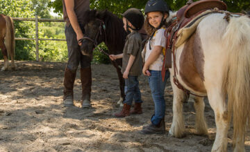 A luglio e agosto ti aspettiamo a Camporotondo! Voglia di una gita fuori porta? Tutti i weekend di luglio e agosto ci trovi con i nostri pony a Camporotondo, in provincia de L’Aquila.