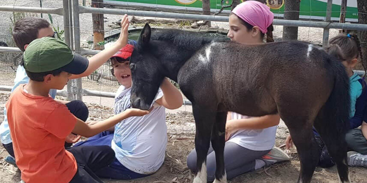 Scopri i Laboratori Didattici per bambini nel Giardino di Filly! Esperienze uniche con la natura e gli animali, crescita attraverso l