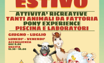 Scopri i Laboratori Didattici per bambini nel Giardino di Filly! Esperienze uniche con la natura e gli animali, crescita attraverso l