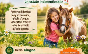 A giugno tornano i nostri Campi Estivi A giugno tornano i Campi Estivi de Il Giardino di Filly: un’esperienza educativa e divertente tra natura, pony, giochi d’acqua, laboratori creativi e attività all’aria aperta. Un’occasione speciale per far vivere ai bambini giornate indimenticabili lontano dalla routine.