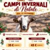 Tornano i Campi Invernali di Natale a “Il Giardino di Filly”: natura, equitazione e divertimento